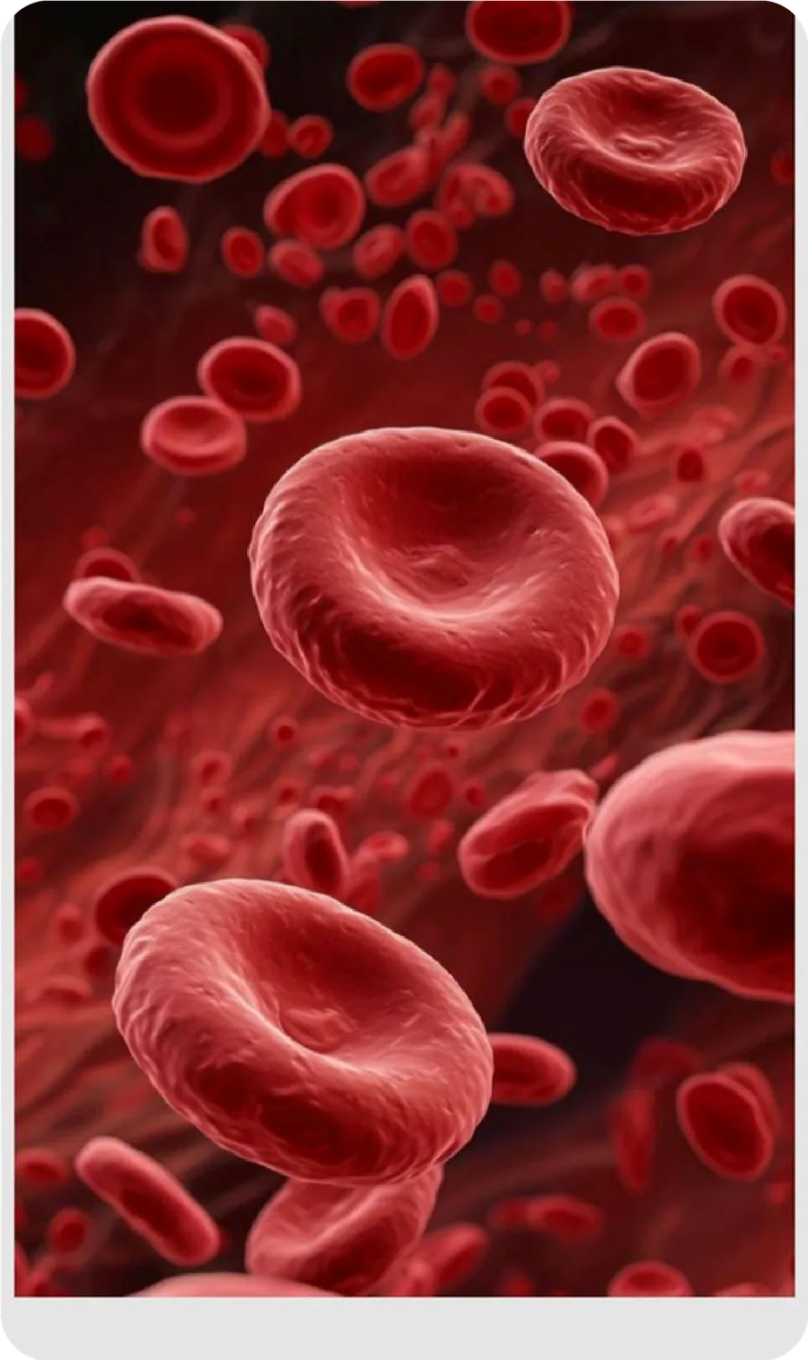 Magistral para la Anemia